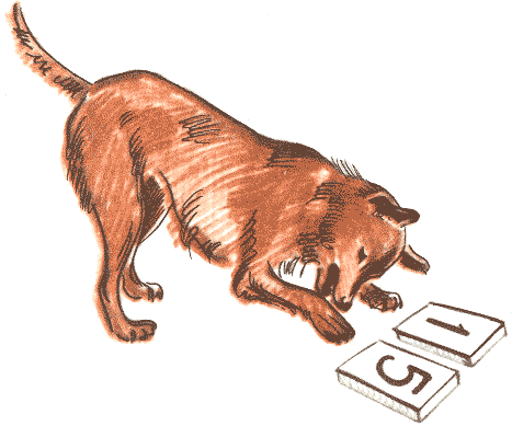 Занимательная зоология - doc2fb_image_03000072.png