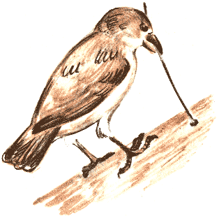 Занимательная зоология - doc2fb_image_03000073.png