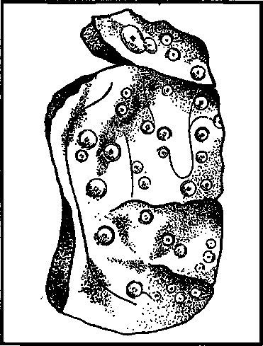 Мы — инопланетяне - i_012.jpg