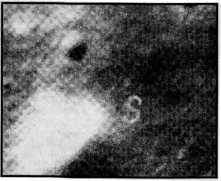 Мы — инопланетяне - i_026.jpg