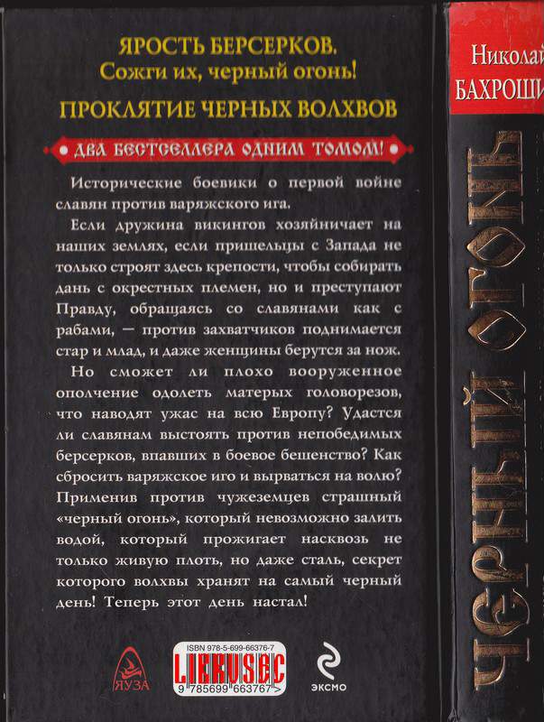 Черный огонь. Славяне против варягов и черных волхвов - i_004.jpg