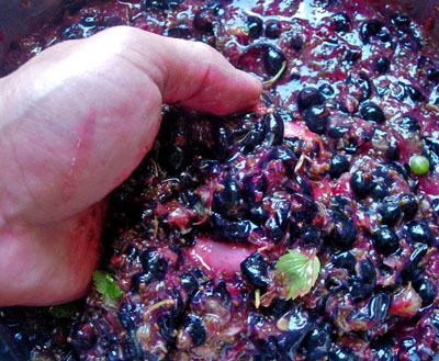 Мои оригинальные рецепты (Часть-5) Салаты и закуски, Десерты и напитки - _1822.jpg