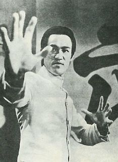 Золотая книга о Брюсе Ли - _25.jpg