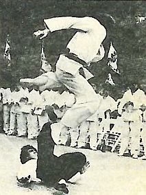 Золотая книга о Брюсе Ли - _35.jpg