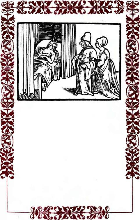 Немецкие шванки и народные книги XVI века - i_008.jpg