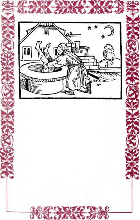 Немецкие шванки и народные книги XVI века - i_012.jpg