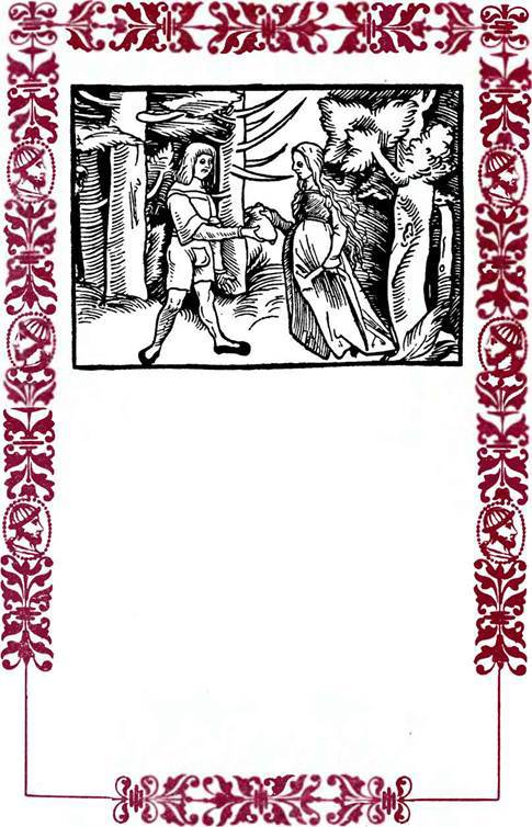 Немецкие шванки и народные книги XVI века - i_013.jpg