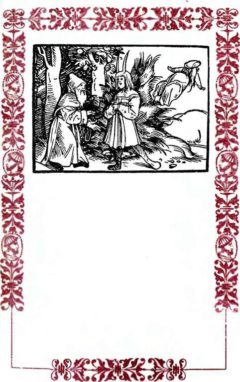 Немецкие шванки и народные книги XVI века - i_014.jpg