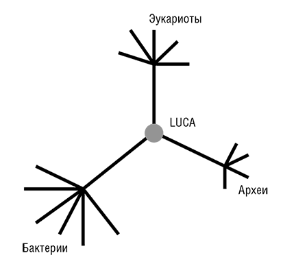 Логика случая. О природе и происхождении биологической эволюции - i_007.png