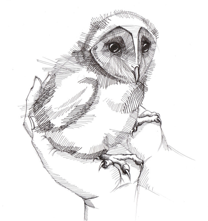 Перстень Агируса - _6.jpg