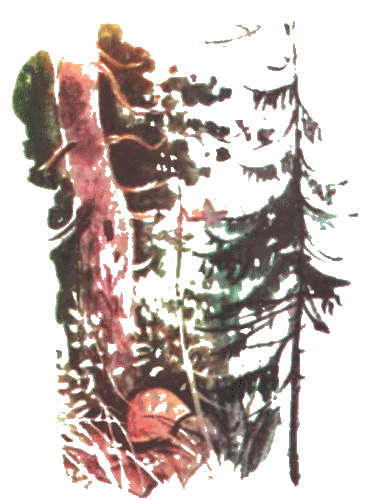 Журнал ''ТЕХНИКА-МОЛОДЕЖИ''. Сборник фантастики 1980-1983 - i_018.png