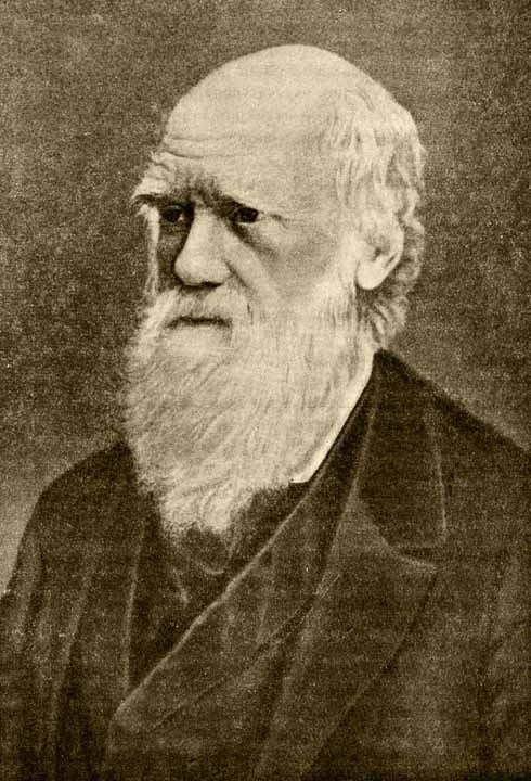 Герои и мученики науки - i_063.jpg