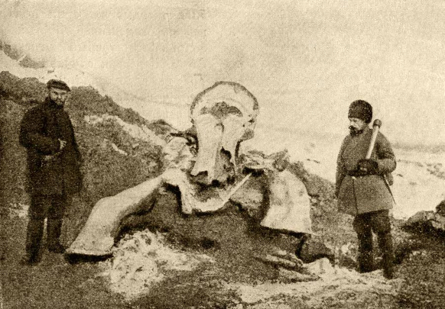 Герои и мученики науки - i_066.jpg