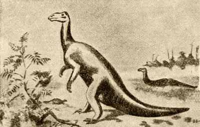 Герои и мученики науки - i_067.jpg