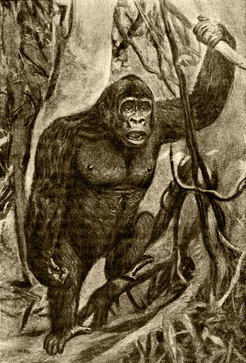 Герои и мученики науки - i_072.jpg