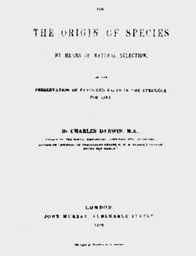 Книги, пронизывающие века - doc2fb_image_02000019.jpg