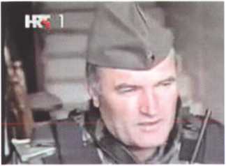Сербский генерал Младич. Судьба защитника Отечества - i_014.jpg
