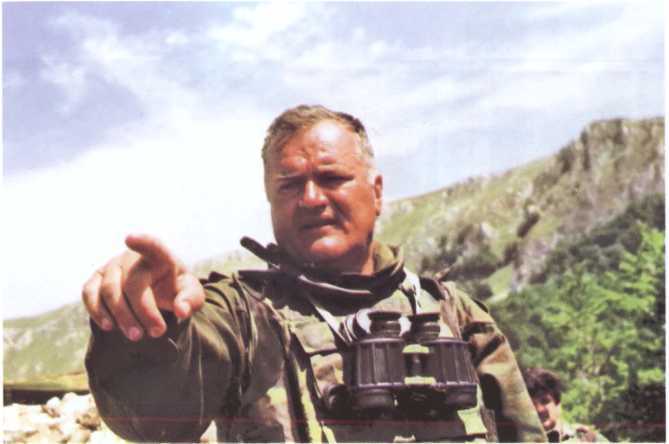 Сербский генерал Младич. Судьба защитника Отечества - i_030.jpg