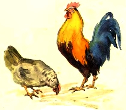 Танина звёздочка - _006.jpg