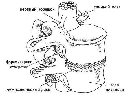 Как избавиться от боли в спине - _012.png