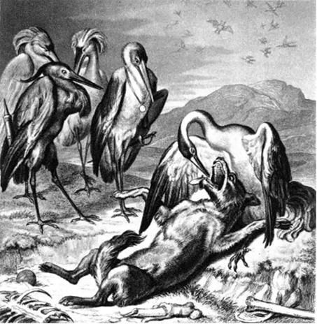 Рейнеке-лис - any2fbimgloader13.jpeg