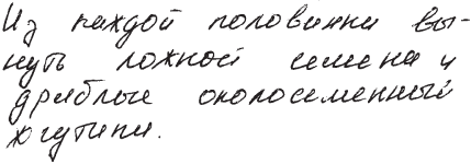 Практическая графология: как узнать характер по почерку - _24.png