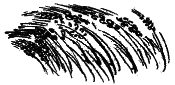 Рассказы и сказки - i_014.png