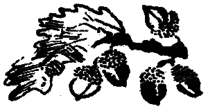 Рассказы и сказки - i_015.png