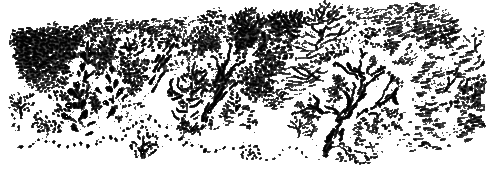 Рассказы и сказки - i_135.png