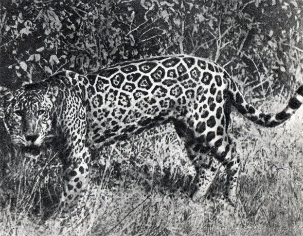 В краю гоацинов - doc2fb_image_0200000B.jpg