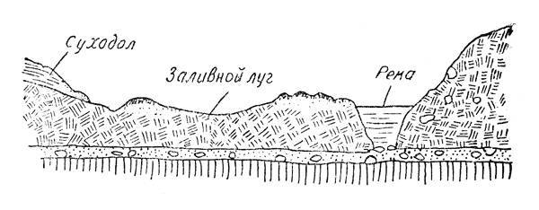 По тундрам, лесам, степям и пустыням - _55.jpg