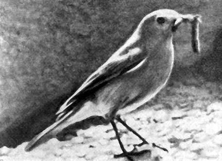 Неведомый Памир - doc2fb_image_02000023.jpg