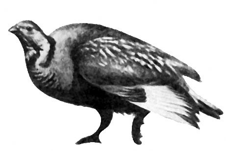 Неведомый Памир - doc2fb_image_0200002B.jpg