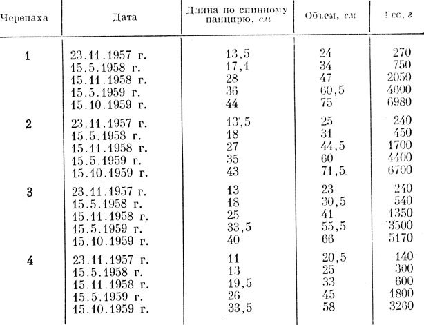 Зачарованные острова Галапагосы - doc2fb_image_02000005.jpg