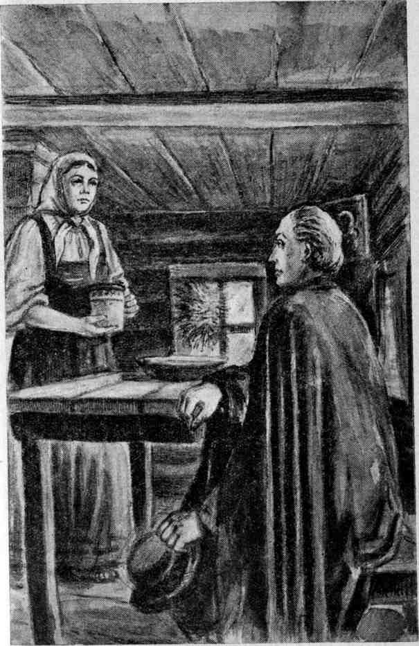 Петербургский изгнанник. Книга третья - img_18.jpeg