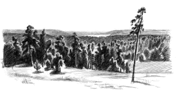 Детям (сборник) - _08.png