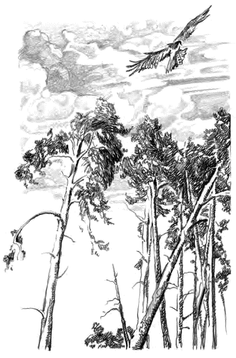 Детям (сборник) - _09.png