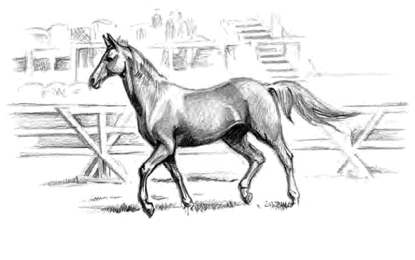 Детям (сборник) - _11.png