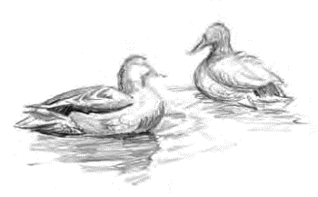 Детям (сборник) - _32.png