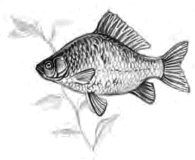 Детям (сборник) - _35.png