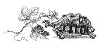 Детям (сборник) - _47.png