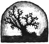 Чисто убийственное зло - i_030.png