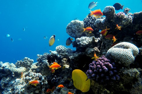 Учебник фотографа - _175.jpg