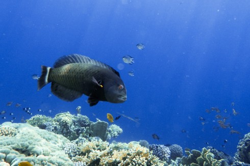 Учебник фотографа - _173.jpg