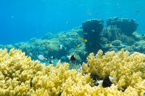 Учебник фотографа - _176.jpg