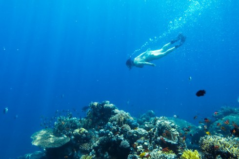 Учебник фотографа - _172.jpg