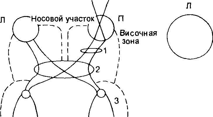 Оксфордский справочник для клиницистов - _61.jpg