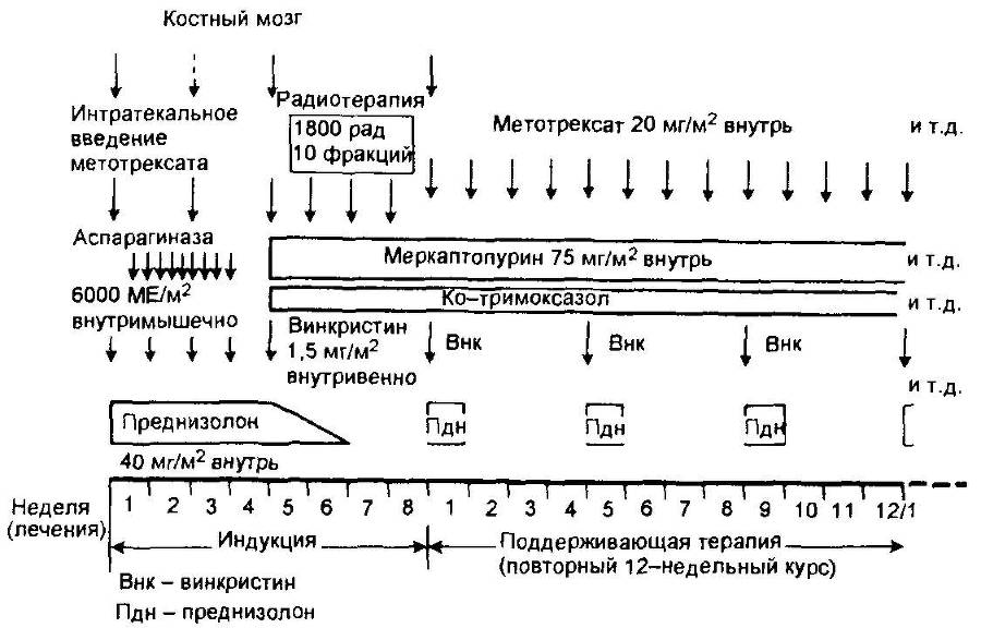 Оксфордский справочник для клиницистов - _19.jpg