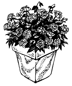 Выращиваем любимые розы - i_003.png
