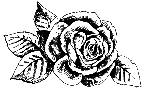 Выращиваем любимые розы - i_006.png